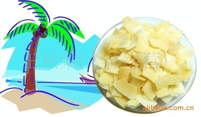 品味南國(guó)椰香 正宗蘇梅香脆椰子片的魅力與市場(chǎng)機(jī)遇