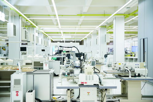 高質量發展看中國 民營企業煥新賦能，金融與技術咨詢共筑溫暖力量